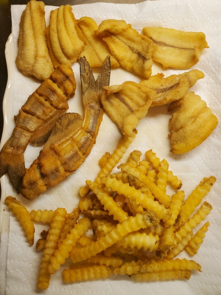 catfish and french fries 