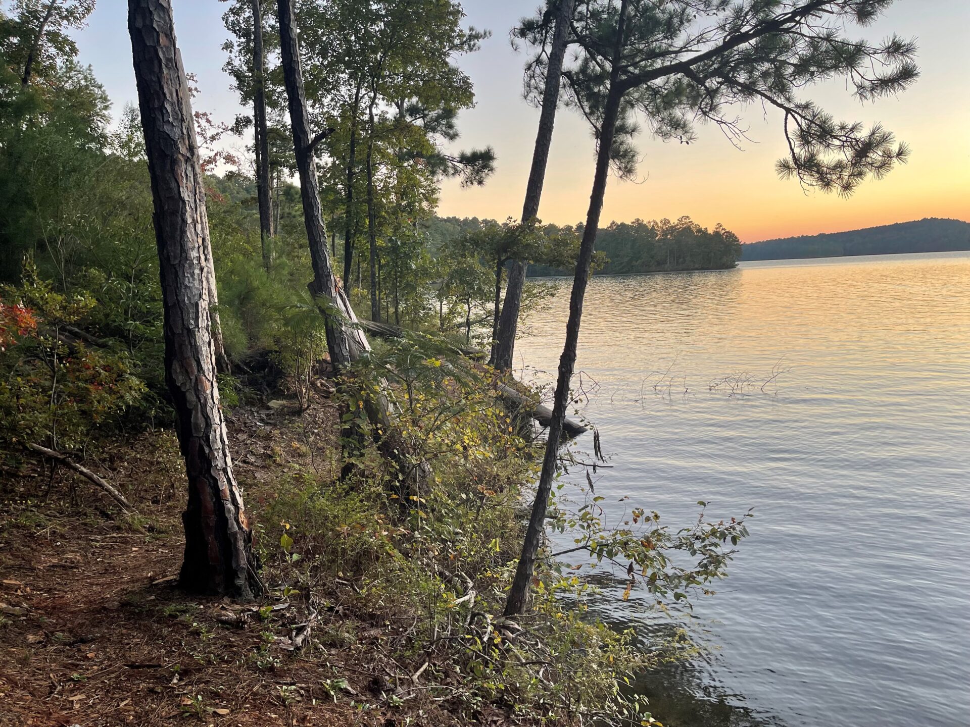 hiking trail by the water at sunset