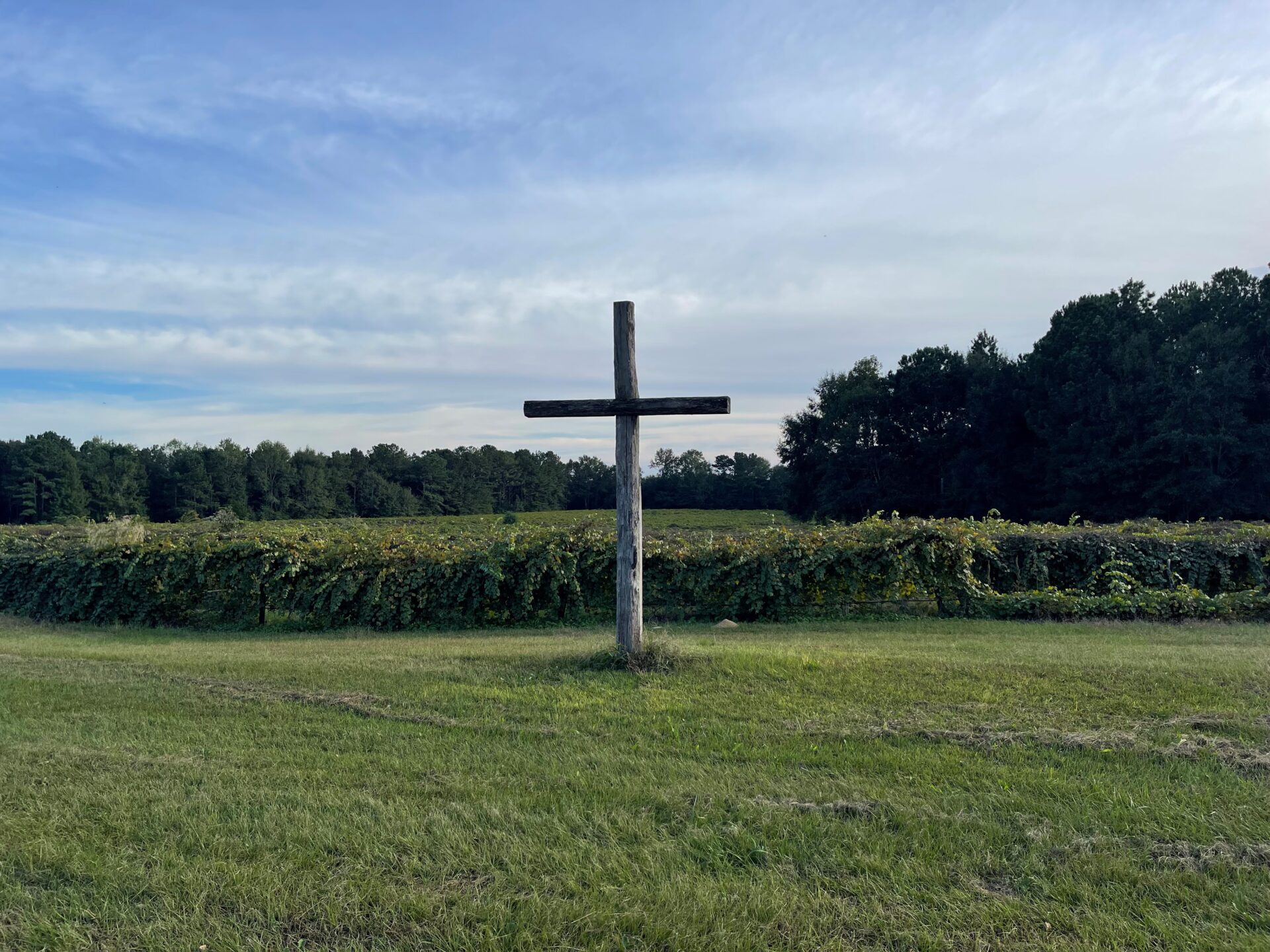 cross at vineyards