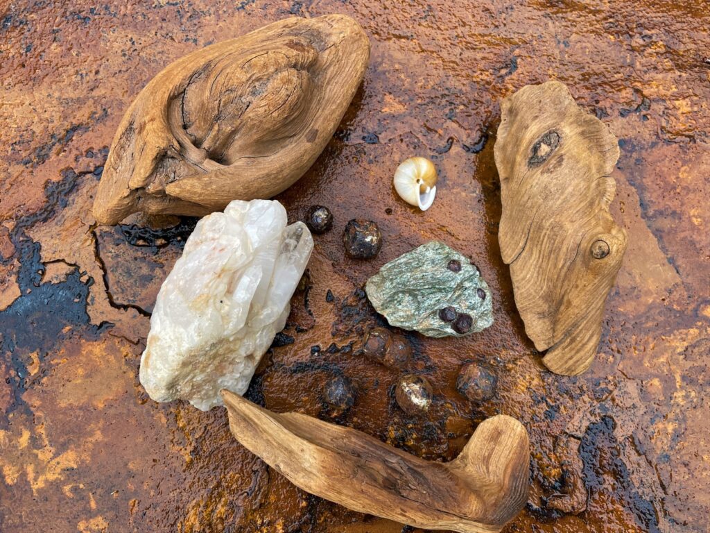 rocks and driftwood