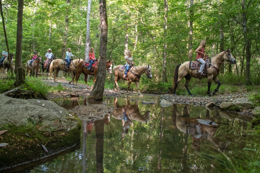 people riding horses