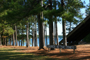 Church in the Pines