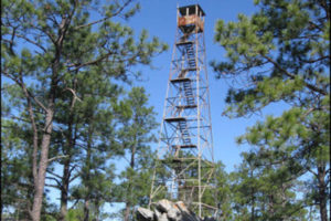 Hiking in Lake Martin | Best Hiking Trails Around Lake Martin