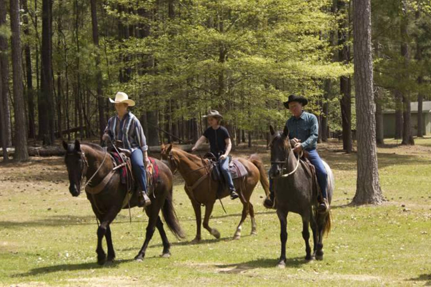 people on horses