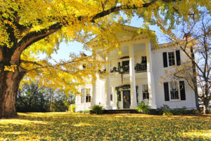 house and tree