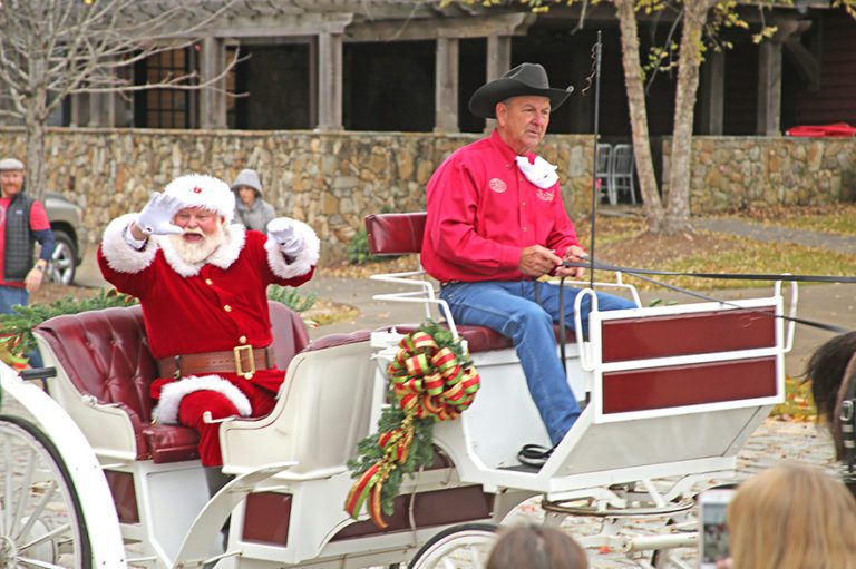 santa in sleigh