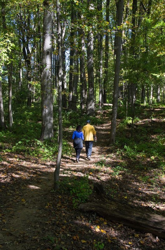 people on trails