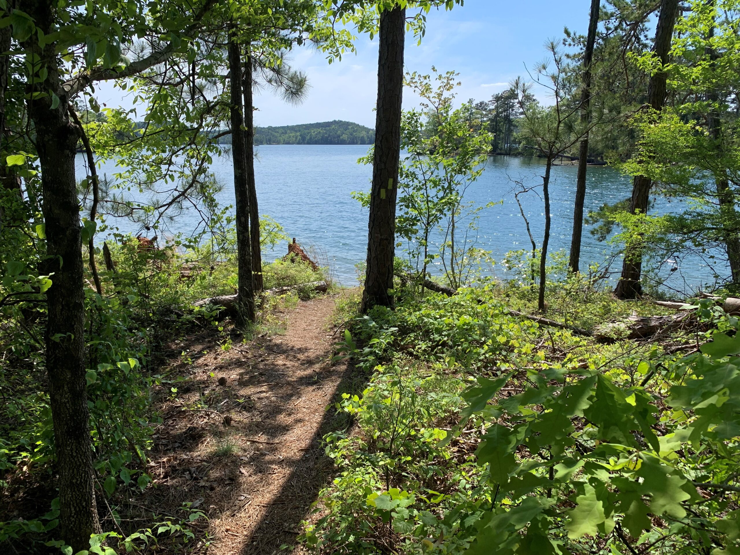 CRATA trail at Overlook Park