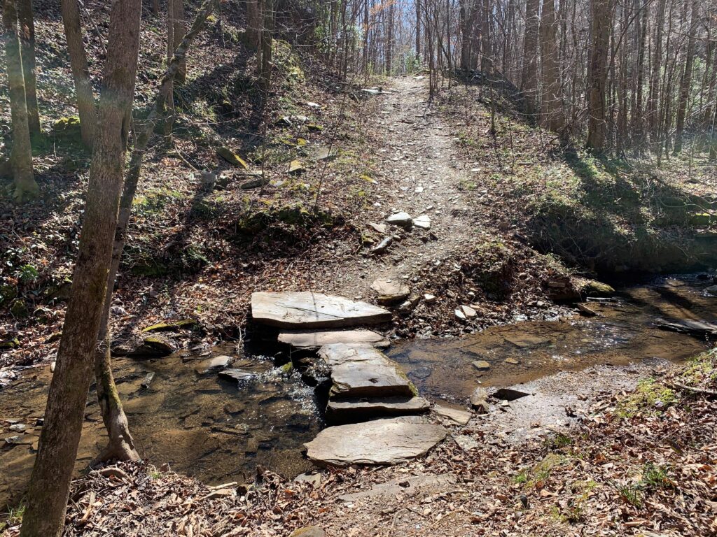 picture of hiking trail at yates lake