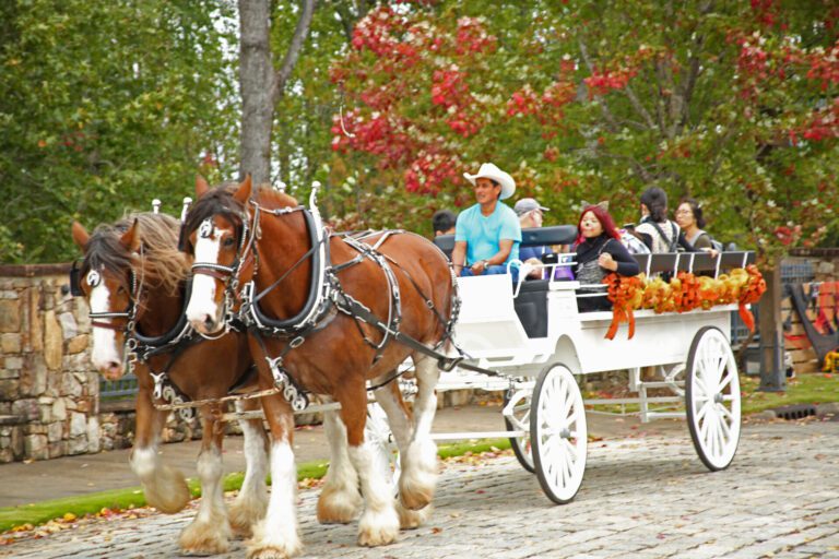 people in a horse and carriage
