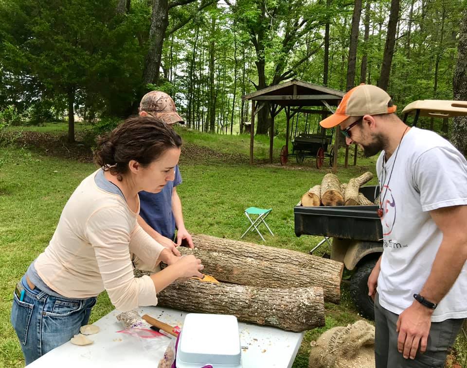 people looking at logs