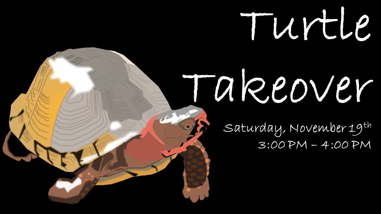 Turtle Takeover Flyer