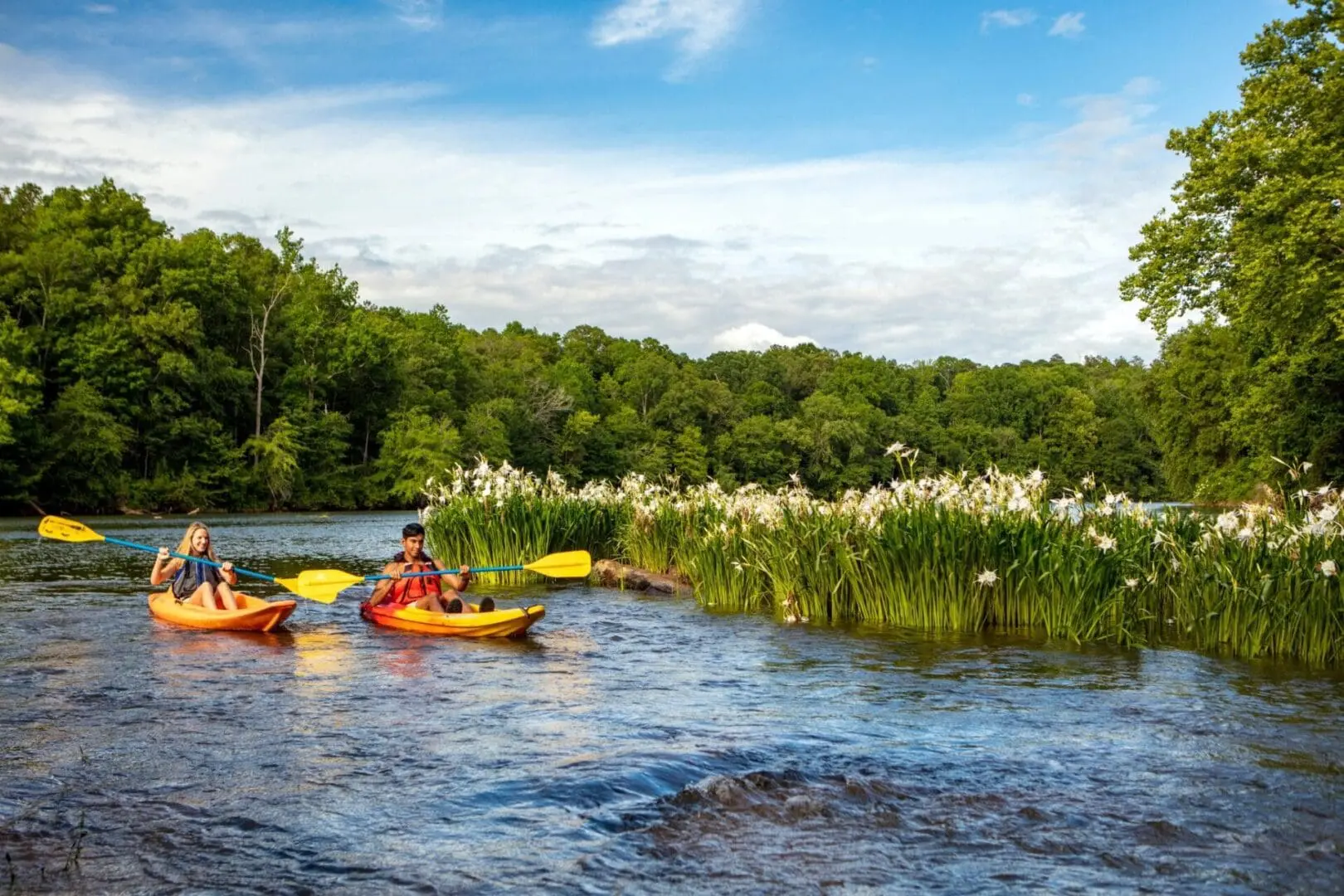 Two kayaks round a bend in a river