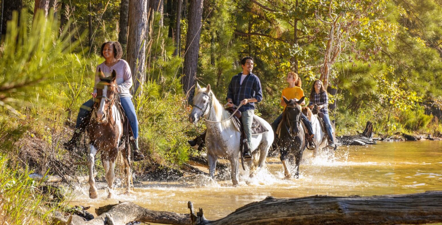 Horseriders ride through shallow water