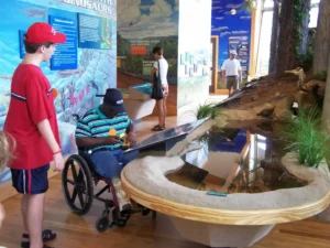 Two people stand in front of museum display which appears to be some kind of geographic diorama