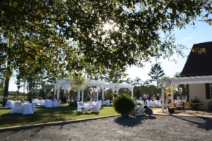 Light peeks through leaves in the foreground; tables and pavilion for wedding in midground