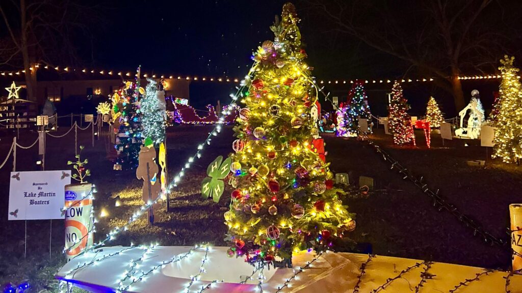 Christmas in Pennington Park